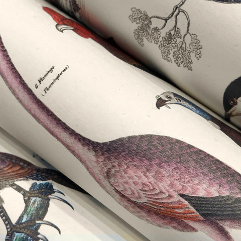 Libro con 12 papeles de regalo - 090 Fauna