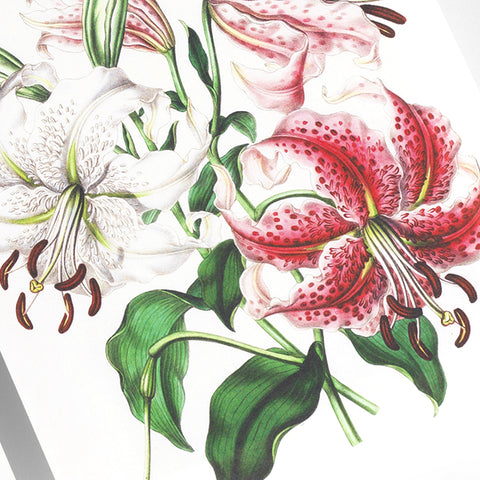 Bloc de notas A5 | Papel de carta - Flowers