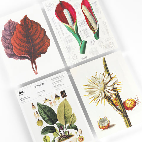 Bloc de notas A5 | Papel de carta - Botanical