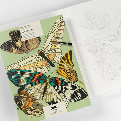 Libro para colorear - Mariposas