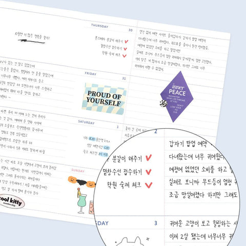 Agenda Iconic 2026 Record On B6