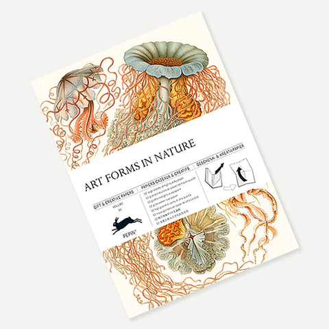 Libro con 12 papeles de regalo - Art Forms in Nature