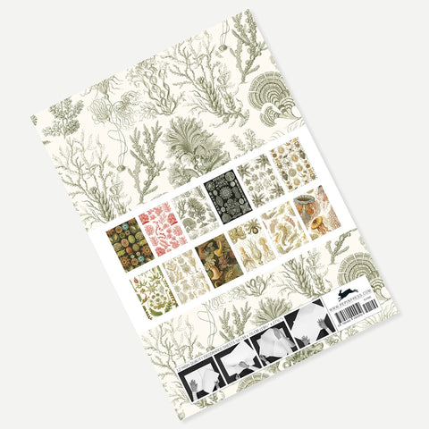 Libro con 12 papeles de regalo - 083 Art Forms in Nature