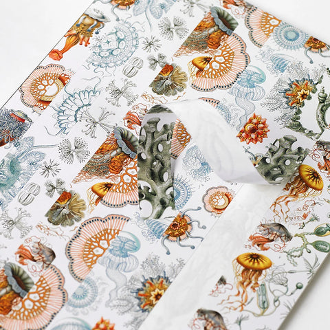 Libro con 250 pegatinas - Art Forms in Nature