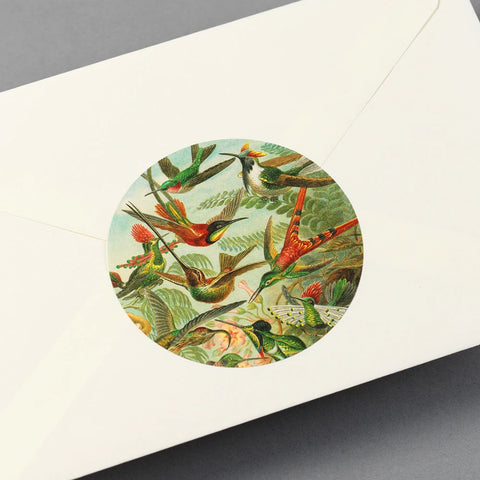 Libro con 250 pegatinas - Art Forms in Nature