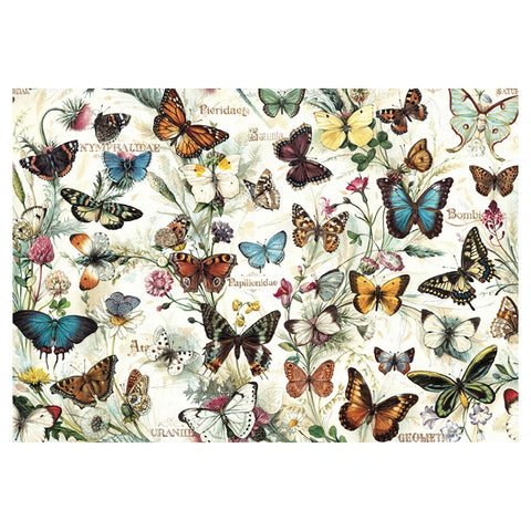 Papel regalo Mariposas 100x70cm