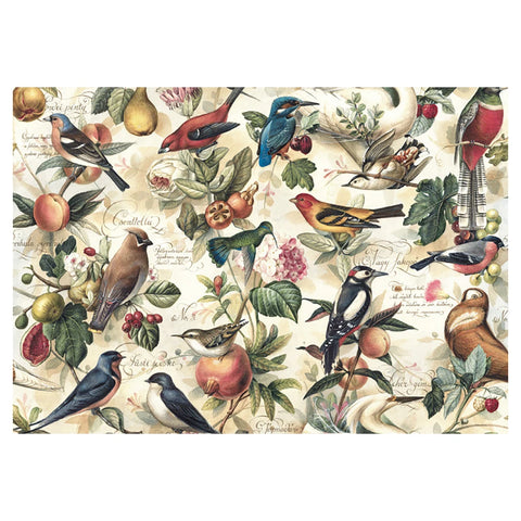 Papel regalo Pájaros y frutas 100x70cm