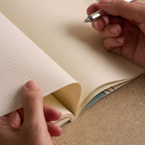 Journal Season Paper - Alba