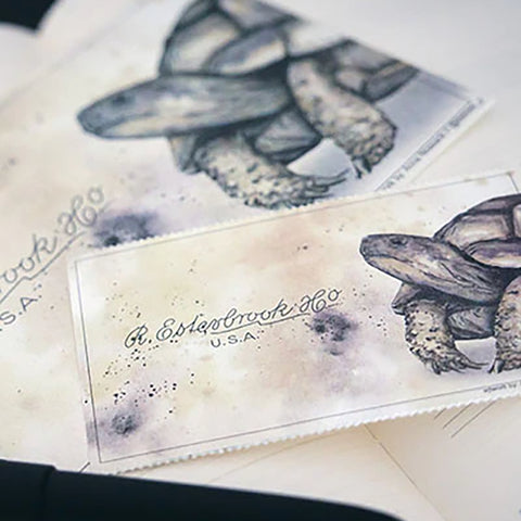 Papeles secantes Nature - Esterbrook