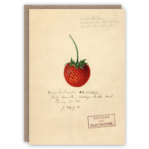 Tarjeta Vintage - Fresa