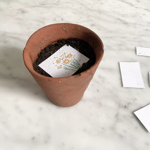 Tarjeta para plantar - Balade