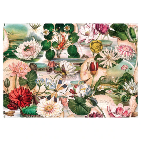 Papel regalo Nenúfares 100x70cm