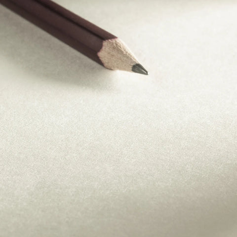 Cuaderno de anillas Sketch Diary Hahnemühle