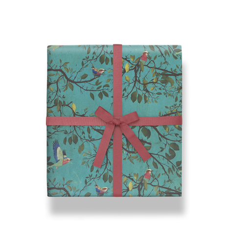 Papel regalo Rollerbirds - 50x70cm