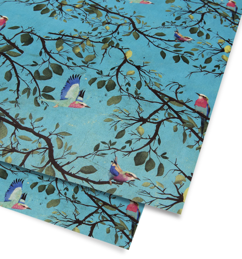 Papel regalo Rollerbirds - 50x70cm