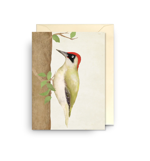 Tarjeta Pequeña - Pájaro carpintero