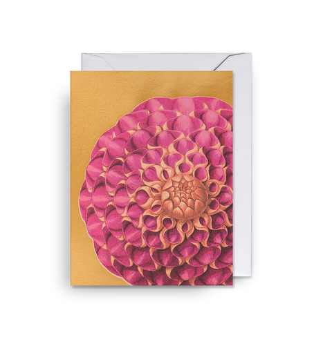 Tarjeta Pequeña - Kew Gardens Dahlia