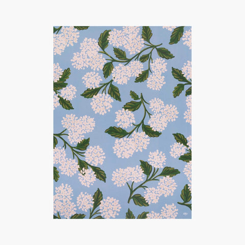 Papel regalo Rifle Paper Co - Hydrangea