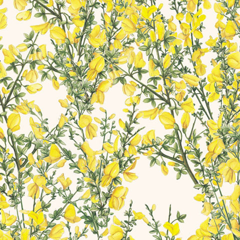 Papel regalo Ginestre - 50x70cm