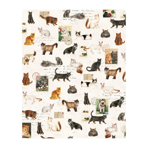 Papel regalo Gatos y Sellos - 50x70cm