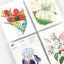 Bloc de notas A5 | Papel de carta - Flowers