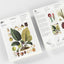 Bloc de notas A5 | Papel de carta - Botanical