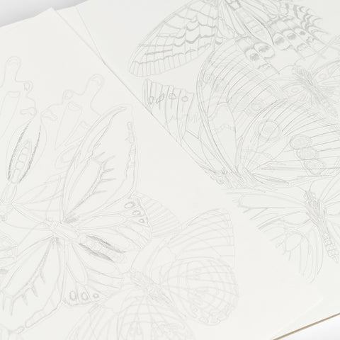 Libro para colorear - Mariposas