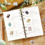 Pegatinas washi - ippai - Libros