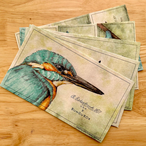 Papeles secantes KingFisher - Esterbrook